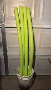 lot 3338 image: 4 Lime Green Foam Pool Noodles with White Gallon Bucket