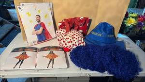 lot 3357 image: Halloween Costumes - Clown, Scrubs, Pumpkins, Capes