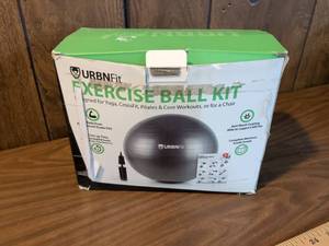 lot 119 image: URBNFit Exercise Ball Kit with Pump and Workout Guide