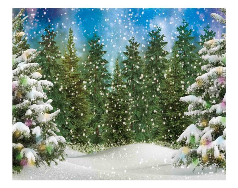 lot 15231 image: Funnytree 10x8FT Winter Forest Landscape Photography Backdrop Snowy Christmas Pine Tree Background Natural Scene Xmas Party Wall Decoration Supplies Photo Booth - Retail $34