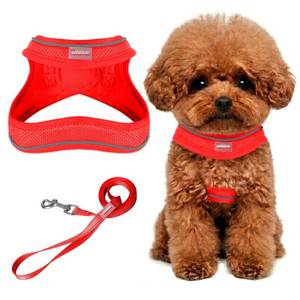 lot 5437 image: Dog Harness and Leash Set,Step in Small Sized Dog Harness,Soft Mesh,No-Chock,Reflective Adjustable,Secure with Hook & Loop Fastener,Puppy Vest for Small,Medium Dogs(Red,S)