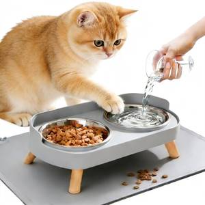 lot 28103 image: Elevated Cat Bowls with Food Mat, Splash Proof Anti Vomiting Raised Cat Food and Water Bowl Set, 2 Stainless Steel Dishes for Cats and Puppy, Pet Bowl for Indoor Cats Grey - Retail $13