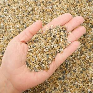 lot 28114 image: Coarse Sand Stone 1LB Decorative Rocks Sand Stone,Mix Coarse Sand for Plants,Soil Cover Bonsai,Succulent,Terrarium,Course,Garden,Cactus Sand, Aquarium, Fairy Garden, DIY. - Retail $7