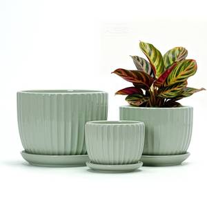 lot 38383 image: Ton Sin Flower Pots, Light Green Ceramic Plant Pots Set of 3,Small Glazed Succulent Pots with Drainage Hole,Cactus Planter with Saucer,Outdoor Garden Pots (Green) - Retail $24