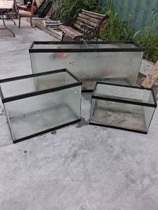 lot 62 image: Glass Aquarium Tanks Lot of 3 with Black Frames