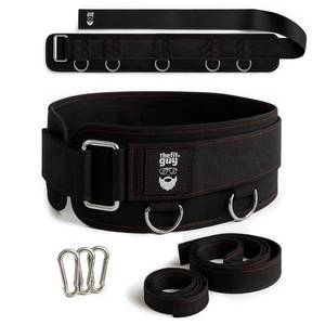 lot 2008 image: THEFITGUY Multi-Attachment Belt for Cable Machine and Smart Home Gym Squats and Hip Thrusts, 5 Attachment Points for Optimal Weight Distribution, 2 Straps (40 & 27) and 3 Metal Snap Hooks Included