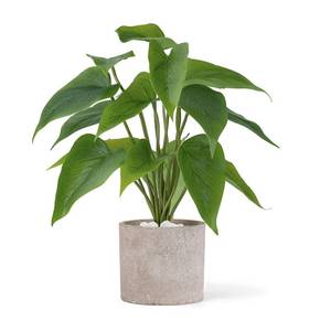 lot 7071 image: Mkono Fake Plants in Pot, 11 Potted Artificial Plants for Home Decor Indoor Faux Green Leaf Plant with Planter for Desk Shelf Table Office Room Decoration (Grey, Small)