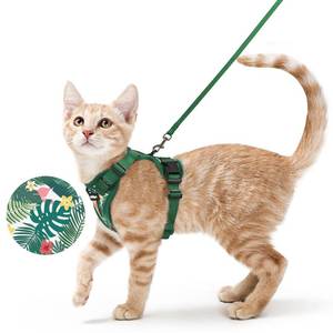 lot 10070 image: rabbitgoo Cat Harness and Leash Set, Escape Proof Vest, Rainforest Green