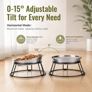 lot 11789 image: Colcoat Adjustable Tilted Elevated Cat Bowls, Raised 304 Stainless Steel Cat Food and Water Bowls with Metal Stand, Non-Slip Pet Feeder for Small Cats and Dogs, Set of 2