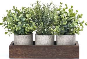 lot 14071 image: Dahey 3 Pack Mini Potted Artificial Eucalyptus Fake Plants with Wood Tray Centerpiece Table Decorations, Farmhouse Pulp Flower Pots Greenery Home Decor for Coffee Table Dining Room Office Kitchen