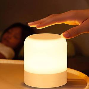 lot 14084 image: FNMYCO Portable Baby Night Light,3 Colours Egg Light for Nursery,Rechargeable Night Light for Kids,Small Cordless Table&Bedside Lamp,Eye Caring Dimmable LED Touch Lamp for Toddler,Girl,Boy,Nursing