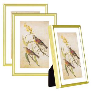 lot 19531 image: Fkvat 5x7-3P Picture Frame Matte Gold Brushed Thin Metal Float Photo Frame with HD Glass, Fit 4x6 with Mat or 5 x 7 without Mat, for Table and Wall, 3 Pack