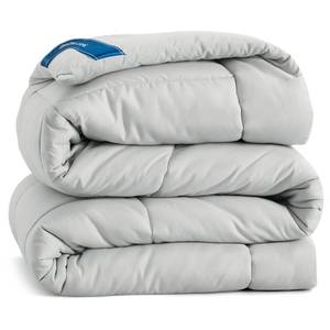 lot 19548 image: Bedsure Comforter Duvet Insert - Quilted Comforters Twin Size, All Season Duvet, GentleSoft Down Alternative Bedding, with 8 Tabs, Gifts for WomenMen, Light Grey, Twin 88 x 68 Inches