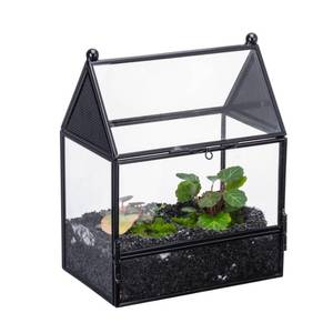 lot 20208 image: NCYP Small Glass Enclosure with Mesh for Jumping Spiders - 5.8 x 3.8 x 7 Micro House Shaped Small Spiders Vented Glass Terrarium, Home Decor Black (Glass Terrarium Only)