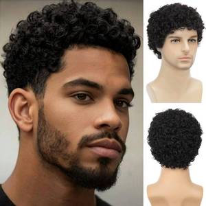 lot 20215 image: Daiaces Short Afro Curly Black Wig for Men Synthetic Halloween Cosplay Costume Replacement Hair Wigs