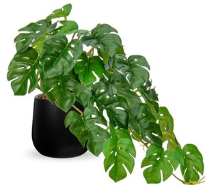 lot 1111 image: DILATA Fake Plants Indoor Living Room Shelf Office US-DT-APP_089