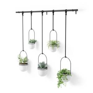 lot 9065 image: Umbra Triflora Hanging Planter for Window, Indoor Herb Garden, Set of 5, WhiteBlack