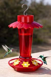 lot 11837 image: Fchstaer Plastic Hummingbird Feeders for Outdoors Hanging, 10 OZ Red Humming Bird Feeder with 6 Feeding Ports and Perch, Built-in Ant Moat, Gifts for Women Garden Decor, 1 Pack