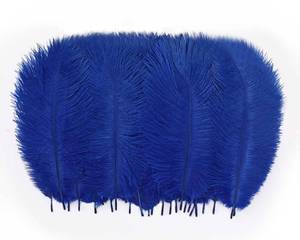 lot 14154 image: Hollosport 30 PCS Royal Blue Ostrich Feathers Bulk 10-12 Inch, Soft Natural Plumes for Centerpieces of Great Gatsby & Wedding Party, Home Vases Christmas Tree Decorations (Blue 10-12 Inch)