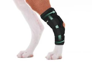 lot 20259 image: Lyderpet Dog Rear Leg Brace for Hock Joint, Compression Wrap Strong Support Back Leg for Canine Torn ACL & CCL, Injury and Sprain Protection, Keeps Stability for Wounds Care and Arthritis (XS)