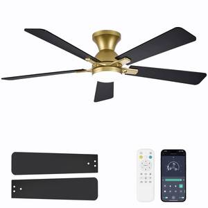 lot 1278 image: Dolavast Ceiling Fans with Lights, 52 Inch Low Profile Ceiling Fan with Light and Remote Control, Flush Mount, Reversible, 3CCT, Dimmable LED, Quiet, Gold Ceiling Fan for Bedroom, Living Room