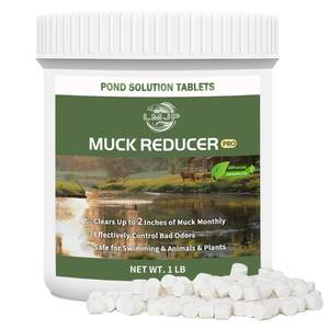 lot 6154 image: LMJP Muck Reducer - 1LB Natural Sludge Solution Tablets for Ponds & Lakes, Away Muck & Odor Control, Safe for Aquatic Life, Wildlife & Recreation, Treats Up to 6,000 Sq Ft