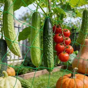 lot 12012 image: DECYOOL 2 Pieces Trellis Netting for Climbing Plants,(5.91 Ft � 16.40 Ft)�2 Pack Garden Trellis Netting Plant Support Net Heavy Duty Nylon Climbing Vine Net for Outdoor Vegetables