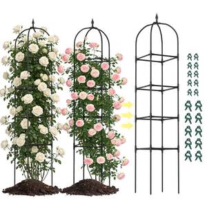 lot 1290 image: 2 Pack 70.87 Garden Obelisk Trellis for Climbing Plants �� Rustproof Metal Plant Tower, Pyramid Design for Roses, Clematis, Jasmine, and Vegetable Vines, Indoor & Outdoor Use, Black