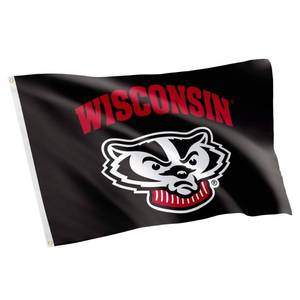 lot 2128 image: Desert Cactus University of Wisconsin UW Flag - 3 x 5 Feet Badgers Banner, IndoorOutdoor Durable Fabric, 100% Polyester Design (Design 7) flag is red not black