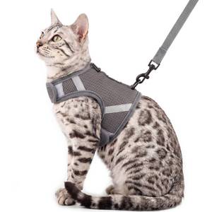 lot 2150 image: pangdi Cat Harness and Leash Set, No Over-the-Head Cat Vest, Grey, L