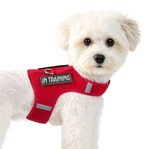 lot 4096 image: Sunraymascota Dog Harness for Puppy �� Adjustable Reflective Easy Put On Soft Mesh Vest for Small Dogs with 2 Patches (Burgundy Red,XXS)