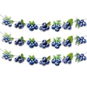 lot 4126 image: Yunahoo Blueberry Party Banner Decoration 3 PCS Fruit Wedding Baby Shower Party Favors Supplies