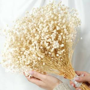 lot 6453 image: 2300 Dried Babys Breath Flowers 17 Bulk �� Natural Ivory White Gypsophila Branches, White Dried Flowers for Vase, Wedding Decor, Table Centerpiece, DIY Floral Crafts