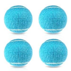 lot 14075 image: 4pcs Walker Precut Tennis Balls for Walkers Pre Cut Walker Glide Balls for Chairs Desks Furniture Legs and Floor Protection Heavy Duty Long Lasting Felt Pad Glide Coverings (Blue)