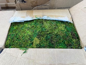 lot 93 image: Box of Moss - Be Creative Great for model building Design