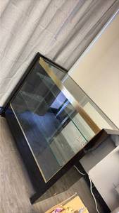 Glass Display Case with Gold Trim and Adjustable Shelves