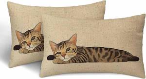 lot 462 image: Cat Face Pillow Cases 12x20 Linen Set of 2 Zipper, see photos