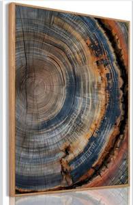 lot 4205 image: Framed Tree Ring Canvas Wall Art Vintage Colorful Wood Stump Painting Prints Modern Minimalist Pictures Neutral Nature Rustic Farmhouse Decor Living Room Bedroom Bathroom Office