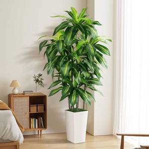 lot 5630 image: Artificial Dracaena Tree Indoor, 5FT Tall Fake Tree with White Tall Planter, Artificial Tree Fake Yucca Potted Tree for Home Office Living Room Decor, Tall Artificial Plant for Housewarming