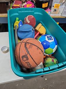 lot 62341 image: Tote of Outdoor Sports Toys and Balls
