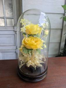 lot 2509 image: Glass Dome Floral Display Yellow Roses Daisies&nbsp