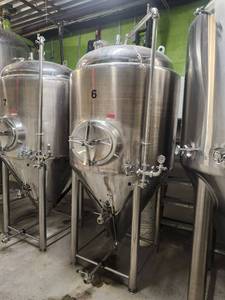 lot 16173 image: Stainless Steel Conical Fermentation Tank  with Dome Top