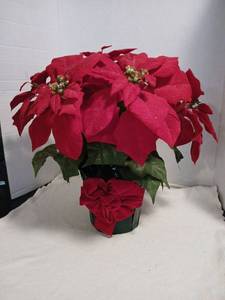 lot 1524 image: Red Poinsettia Plant with 30in wreath
