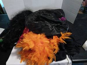 lot 1525 image: Halloween costumes