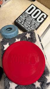 lot 1797 image: Kong Flyer Red Disc Dog Toy