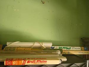 lot 2309 image: Various Fluorescent Bulbs