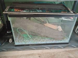 lot 2314 image: Aquarium with Timer and Contents.  Aquarium 13 x 20 x 10