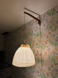 lot 1006 image: Vintage Hanging Lamp