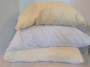 lot 1118 image: Pillows Standard Size qty 3