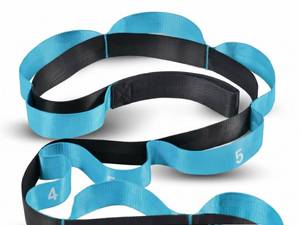lot 201 image: Acozycoo Stretching Strap with Loops for Physical Therapy,Yoga Strap for Stretching,Home Workout,Pilate & Flexibility Training,Non-Elastic Exercise Stretch Band for Hamstring,Leg Stretcher Belt,Flexibility Fascia (Blue) - Retail $10